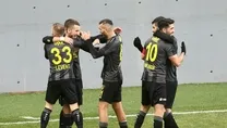 Boğalar takipte