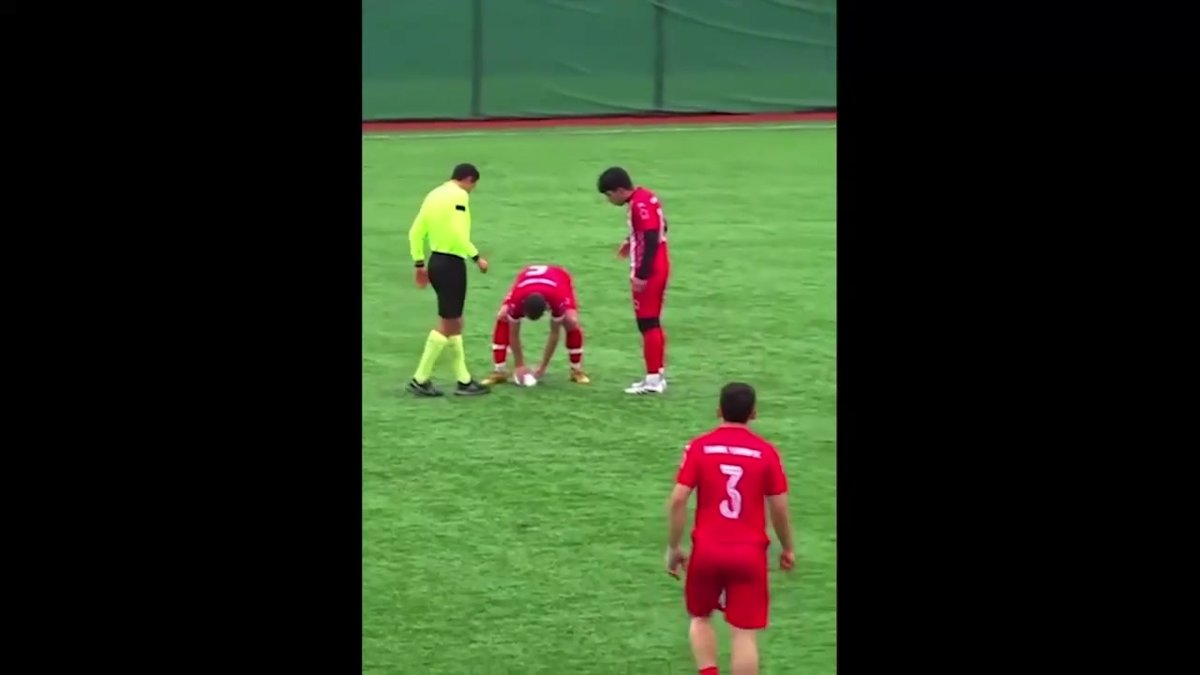 Maçta martıya top çarptı! Futbolcular kalp masajı yaptı | İşte o anlar