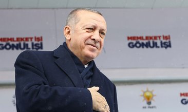 Başkan Erdoğan'dan Şenol Güneş'e tebrik