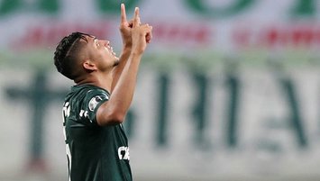 Palmeiras advance to Libertadores final