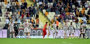 Acı kayısı