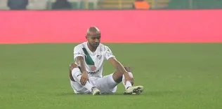 Timsah’ın büyük özlemi