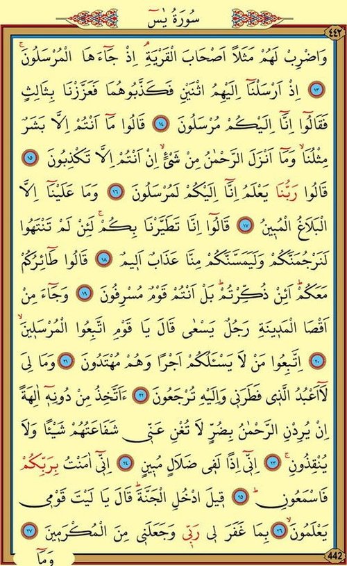 yasin suresi turkce arapca oku