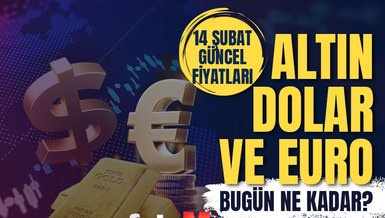 💰1 DOLAR KAÇ TL? | 14 Şubat 2024 Anlık Döviz Kuru Takibi - Euro, dolar, sterlin, gram, çeyrek, yarım altın kaç lira?