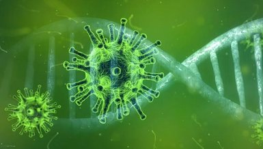 Dünya genelinde corona virüsü vaka sayısı 6 milyon 900 bini aştı