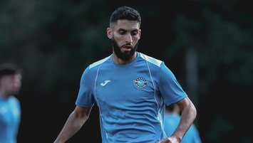 Demir güç depoluyor