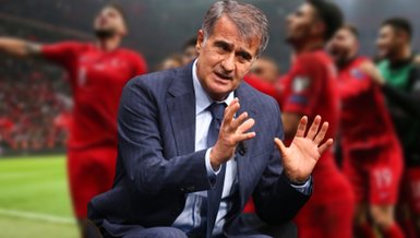 Şenol Güneş: Çok çalışacağız!