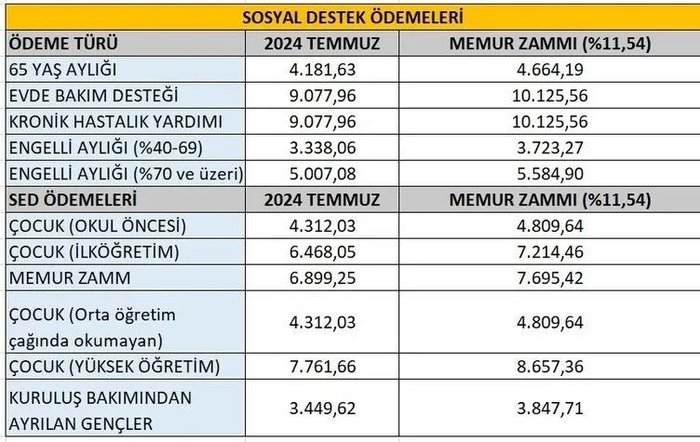 evde-bakim-maasi-2025-rakami-belli-oldu-mu-evde-bakim-ayligi-zammi-yuzde-kac-1735889636771.jpeg