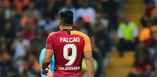 Falcao pazarda