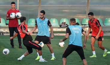 futbol a milli takım