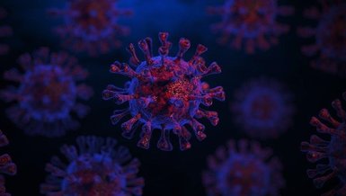 BQ1 NEDİR? | Corona virüsü Omicron varyantı türü BQ1'in belirtileri neler? 50 ülkede görüldü...