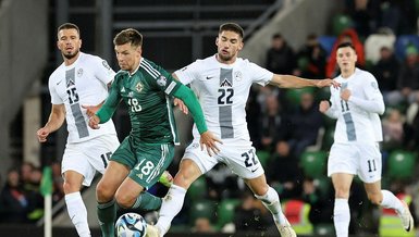 Kuzey İrlanda 0-1 Slovenya (MAÇ SONUCU - ÖZET)