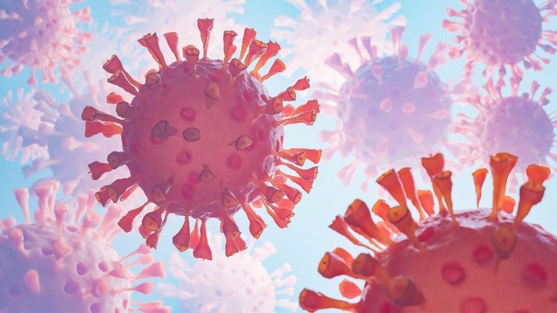 hantavirus-nedir-nasil-bulasir-belirtileri-ve-korunma-yollari-1778101325886.jpg hantavirüs belirtileri