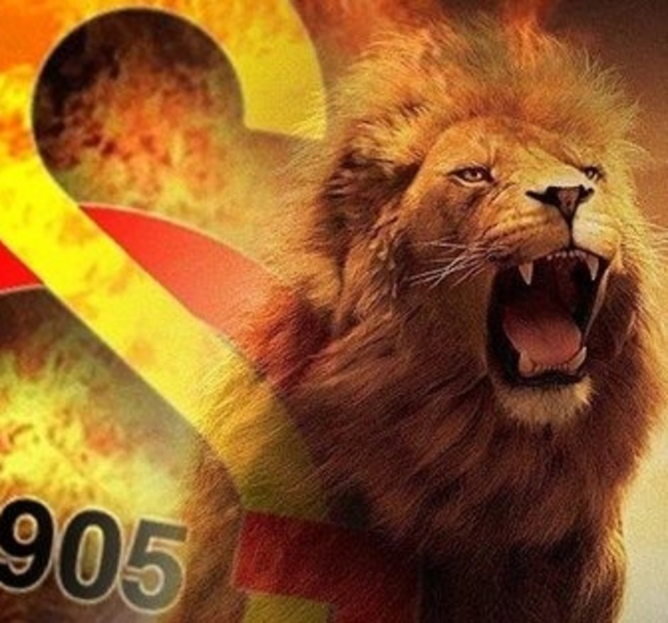 Galatasaray Aslan / Galatasaray Aslan Cimbom Bayrak Gs Bayrak Fahnen