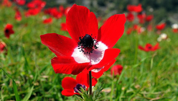 3. cemre ne zaman düşüyor?