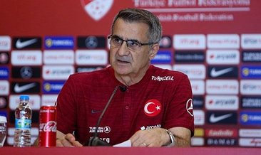 Şenol Güneş: Amacımız Fransa'yı yenmek