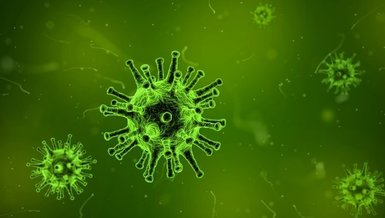 Online corona virüsü testi ekranı! Online corona virüsü testi nasıl yapılır? Hangi sorular soruluyor?