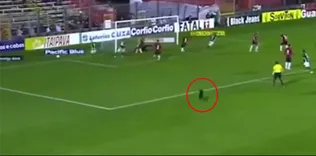Sahaya giren köpek futbolcuları kovaladı