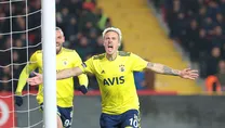 Boğa saldırısı