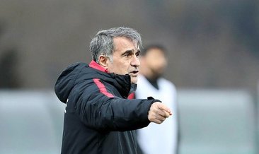 Şenol Güneş: Dünya Kupası ayrı bir dünya