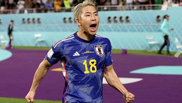 Japon takviye