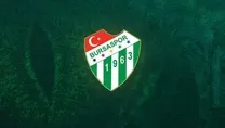 Timsah şov