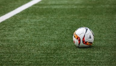 A Milli Futbol Takımı'mızın rakibi Ermenistan'ın aday kadrosu belli oldu