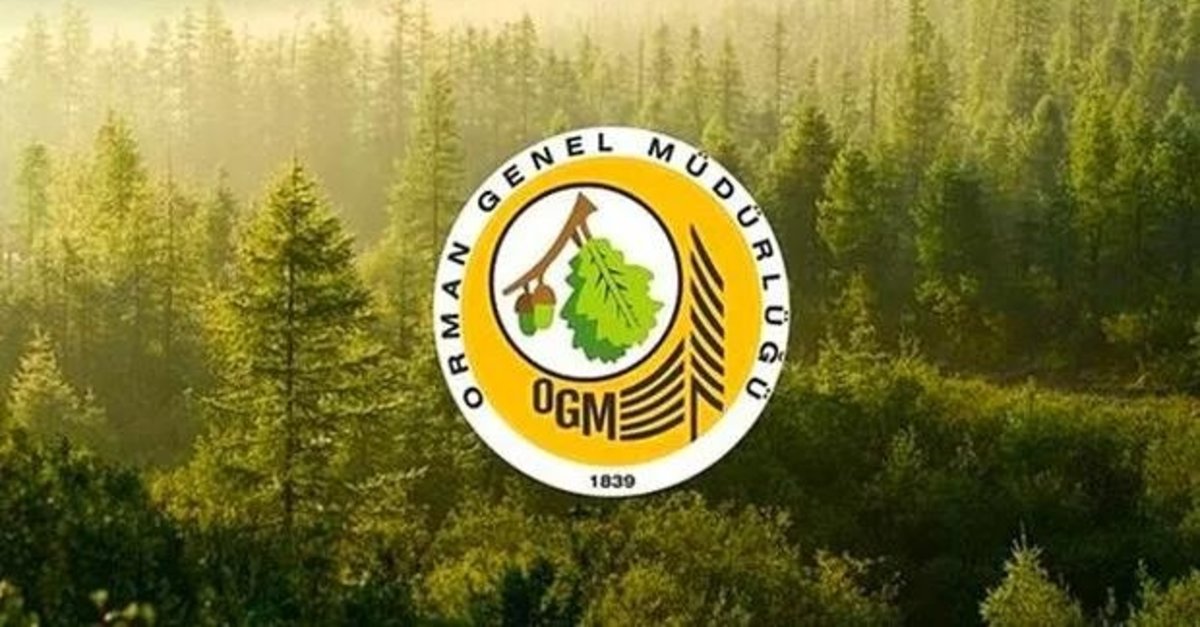 Orman Genel Müdürlüğü 5 bin personel alımı yapacak! Yangın işçisi başvuru şartları neler? Başvuru tarihi ne zaman? - Son dakika Haberler haberleri - Fotomaç