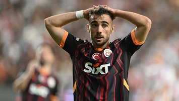 Bireysel çalışmalar