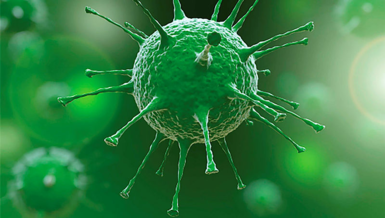 Balıkesirspor'da 11 kişinin corona virüsü testi pozitif çıktı
