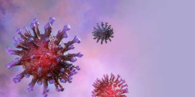 Corona virüsü Avrupa'ya o maç sonrası yayılmış!