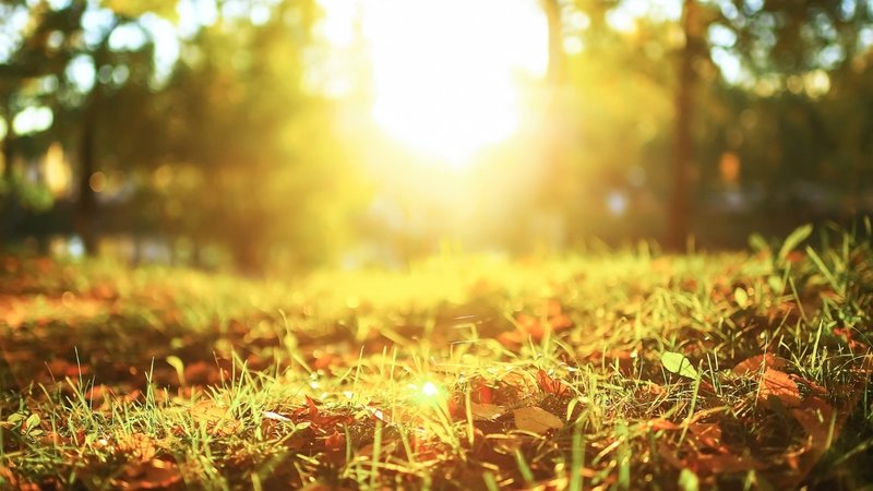 hafta-sonu-hava-nasil-olacak-mgmden-kuvvetli-saganak-uyarisi-1762500887700.jpg Hafta Sonu Hava Nasıl Olacak?