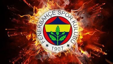 FIFA kararı sonrası imza! Marc Wilmots Fenerbahçe'ye...