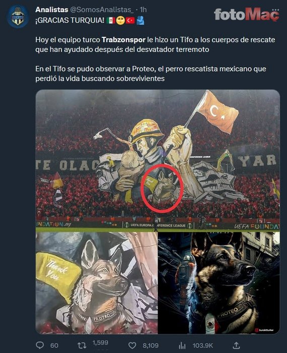Trabzonspor'un koreografisi tüm dünyada ses getirdi: Muazzam