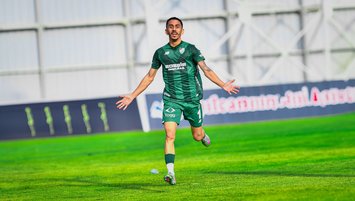 Bursa’da Çam şoku