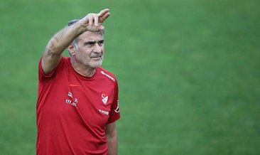 Şenol Güneş: Tek renk olalım