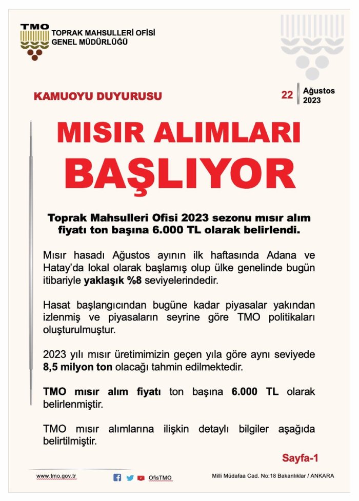 tmo-misir-alim-fiyati-2023-tmo-misir-alim-fiyati-ne-kadar-ton-basina-kac-tl-tmo-randevu-ekrani-1692769980900.jpeg