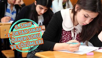 6. sınıf 2. ortak sınav Türkçe, Matematik, Fen Bilgisi, Sosyal Bilgiler ortak sınavı sorular ve çözümleri
