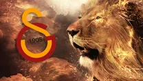 Aslan orta sahasını buldu!
