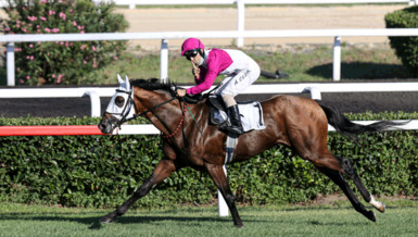 Call To Victory wins Turkish horse race