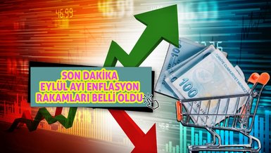 EYLÜL ENFLASYON RAKAMLARI SON DAKİKA - 2023 Eylül ayı enflasyonu ne kadar, yüzde kaç oldu?