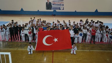 Silifke'de 'Minikler Taekwondo Turnuvası' düzenlendi