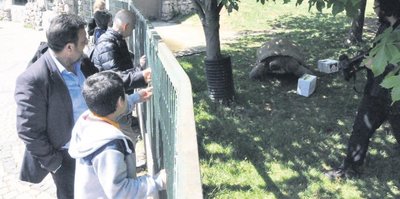 Tuki’ye göre zafer Fener’in