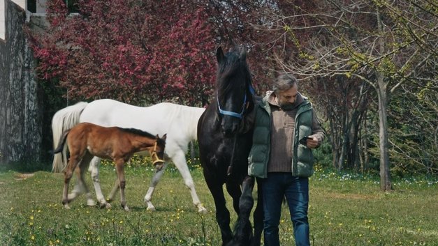 Eşkıya Dünyaya Hükümdar Olmaz 165. Bölüm Fragmanı izle!