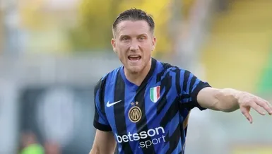 Zielinski hamlesi