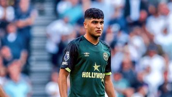 Yunus Emre'den harika röveşata!