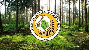 OGM SÖZLEŞMELİ PERSONEL ALIMI | 2022 Orman Genel Müdürlüğü personel alımı başvuru başvuru tarihleri ve şartları