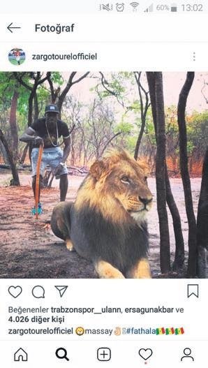 Aslan A Gozdagi Son Dakika Trabzonspor Haberleri Fotomac