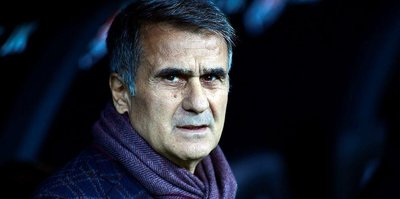 Şenol Güneş: "Ben olsam vermezdim"
