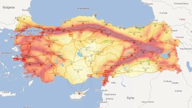NİĞDE HANGİ FAY HATTI ÜZERİNDE? | Batı Anadolu, Doğu Anadolu ve Kuzey Anadolu fayı üstündeki iller